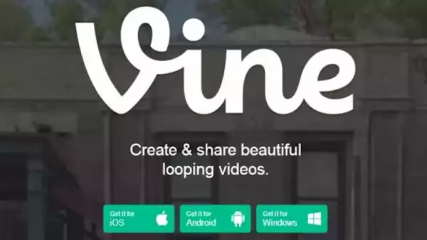 What the Internet Loses When Vine Shuts Down 